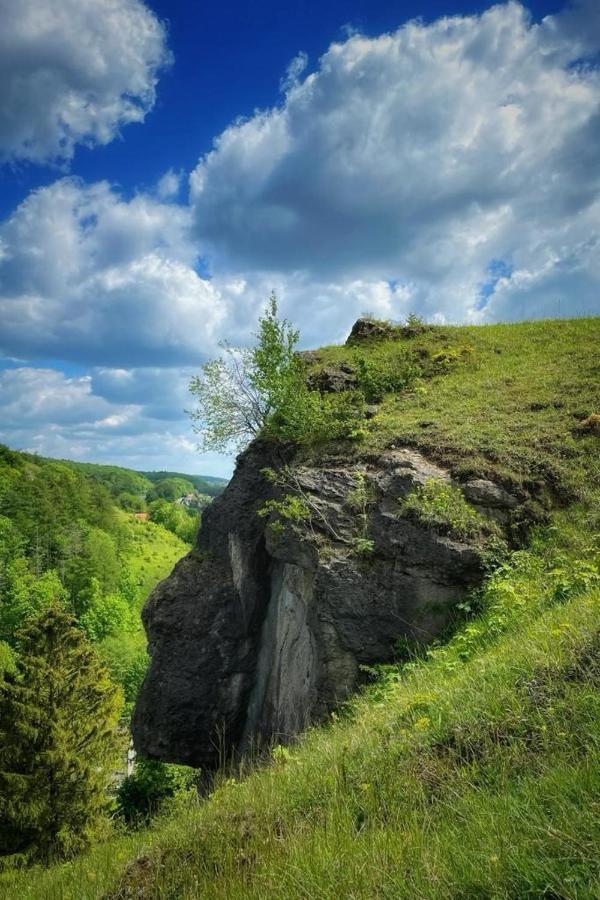 Steinberg-Blick Herzberg am Harz Exterior foto